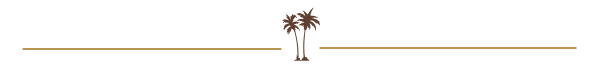 2Palms separater icon